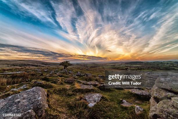 sunset over the dart valley - moor stock pictures, royalty-free photos & images