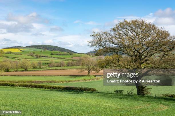 idyllic english countryside around clun in shropshire - shropshire stockfoto's en -beelden