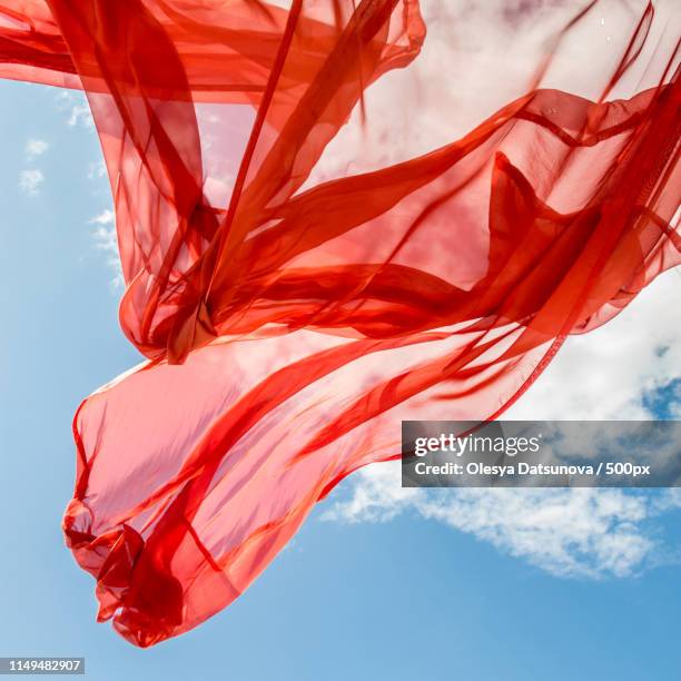 R In Nature Letter R In Nature Photos and Premium High Res Pictures - Getty Images