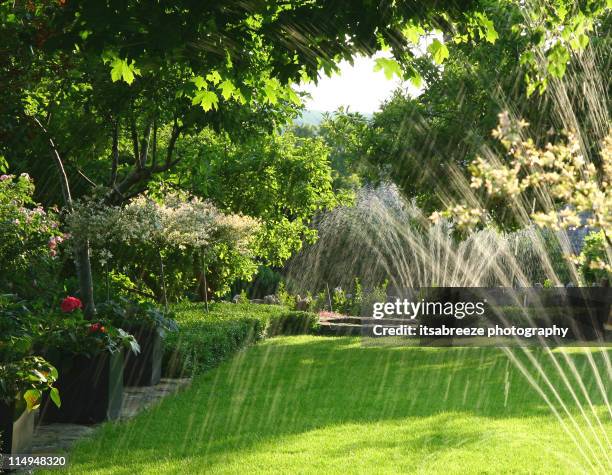 watering garden - sprinkler stock pictures, royalty-free photos & images