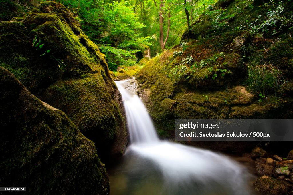 Mountain Spring