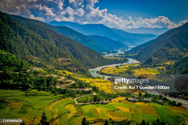 punakha valley, bhutan - bután fotografías e imágenes de stock