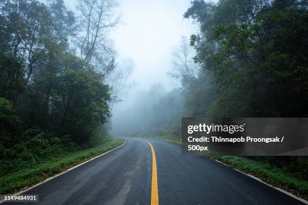 road in with nature forest and foggy road of rain forest - australian winter landscape stock-fotos und bilder