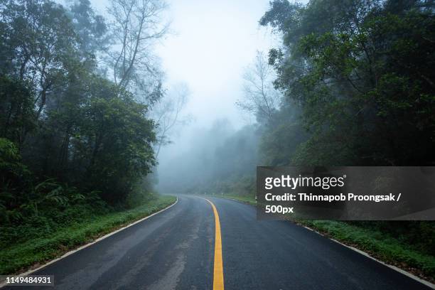 road in with nature forest and foggy road of rain forest - cars on motor way stockfoto's en -beelden