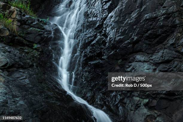 cedar creek falls in mount tamborine - mount tambourine stock pictures, royalty-free photos & images