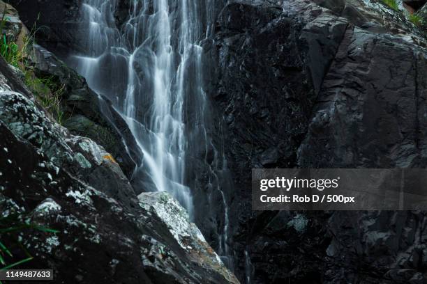 cedar creek falls in mount tamborine - mount tambourine stock pictures, royalty-free photos & images