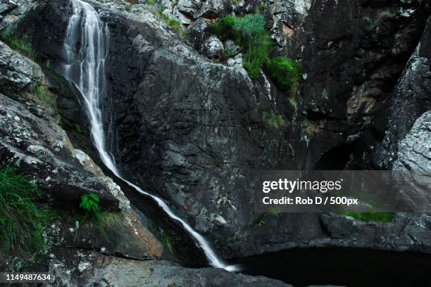 cedar creek falls in mount tamborine - mount tambourine stock pictures, royalty-free photos & images