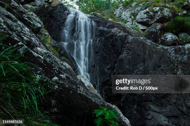 cedar creek falls in mount tamborine - mount tambourine stock pictures, royalty-free photos & images