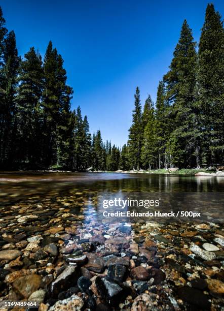 tioga pass 5dmiv - wenatchee stock pictures, royalty-free photos & images