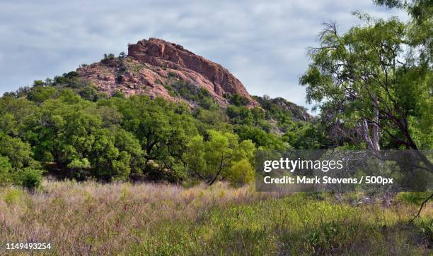 a meadow and trees for a setting with turkey peak - fredericksburg texas stock-fotos und bilder