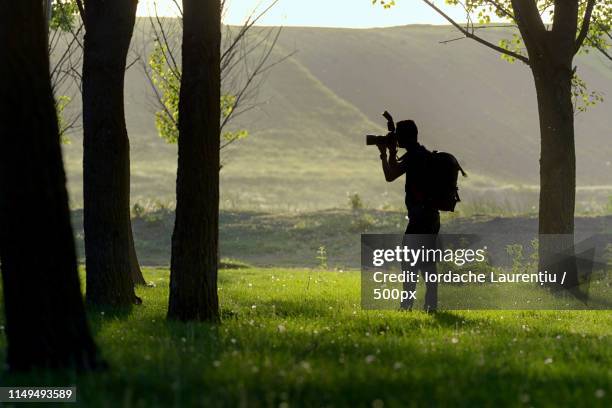 silhouette of photographer - coast live oak stock pictures, royalty-free photos & images
