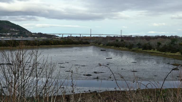 Merkinch The Marshes Local Nature Reserve Videos and HD Footage - Getty Images
