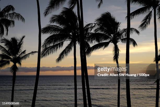 maui sunset - allen sw huang stock pictures, royalty-free photos & images