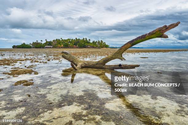 stuck at low tide fiji - suva fiji stock pictures, royalty-free photos & images