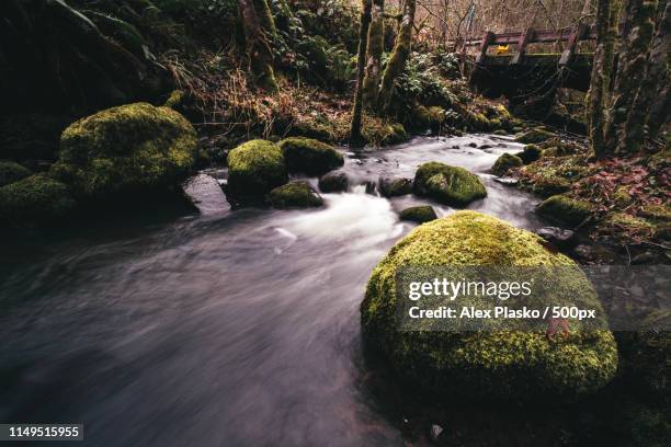water therapy - hillsboro place stock pictures, royalty-free photos & images
