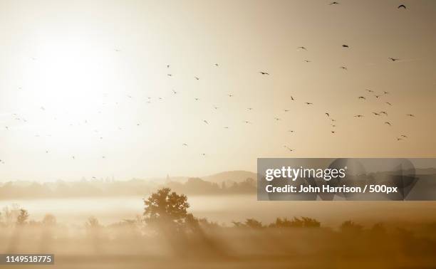 sunrise, bishop's stortford - bishop's stortford stock pictures, royalty-free photos & images