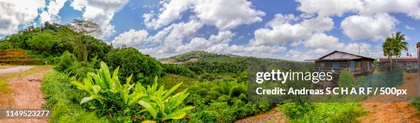 endless tropical green of french guiana - french guiana stock pictures, royalty-free photos & images