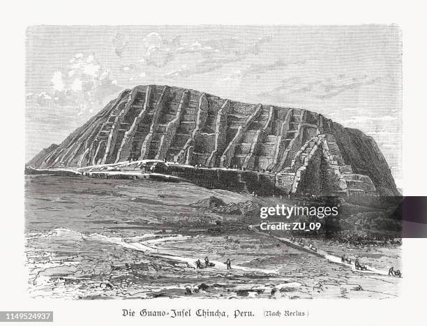 chincha (guano) islands in peru, wood engraving, published in 1897 - guano stock illustrations