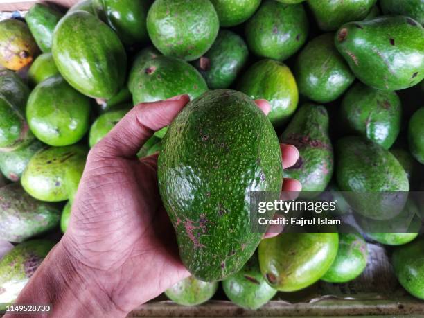 Large Ripe Avocado Large Avocados Photos and Premium High Res Pictures - Getty Images