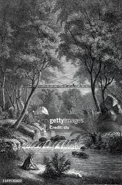 bridge on borneo - footbridge stock illustrations