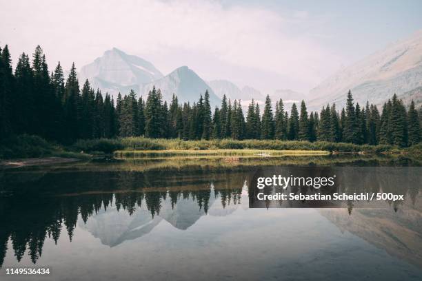 reflections in glacier np - columbia falls stock pictures, royalty-free photos & images