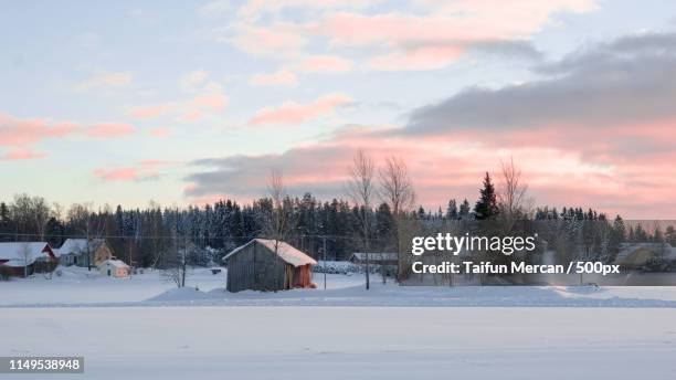 winter scene - lappeenranta stockfoto's en -beelden