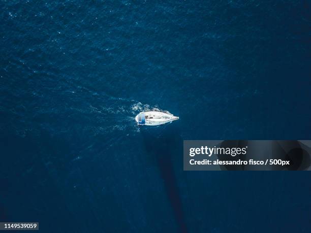 chase me - scotia sea stock pictures, royalty-free photos & images