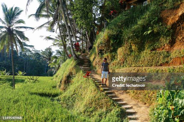 young tourist man in walking near ubud, bali, indonesia - ubud rice fields stock pictures, royalty-free photos & images