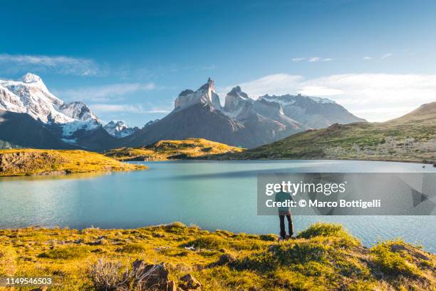 man admiring the view at torres del paine national park, chile - torres del paine national park stock pictures, royalty-free photos & images