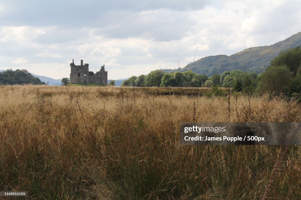 Meadow and old ruins of castle