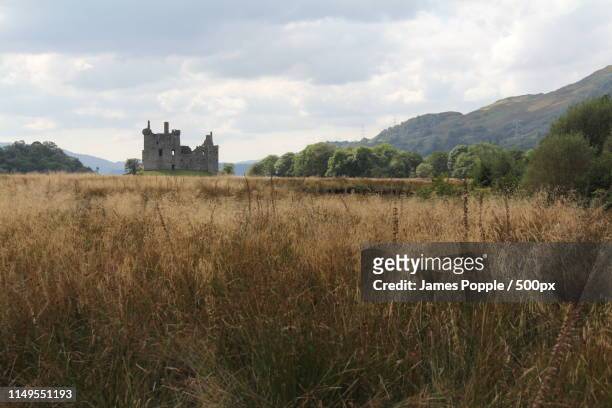 meadow and old ruins of castle - james popple stock pictures, royalty-free photos & images
