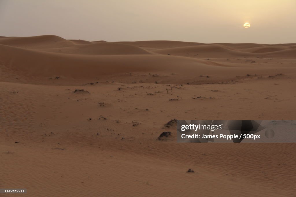 Scenic view of sandy desert