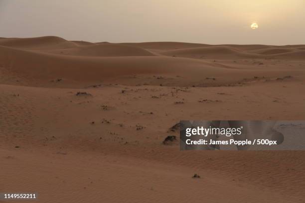 scenic view of sandy desert - james popple stock pictures, royalty-free photos & images