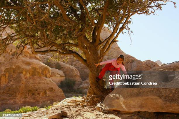 the playful little girl climbed into the tree by visiting thelittle petra in the morning, jordan. - beautiful arabian girls stock pictures, royalty-free photos & images