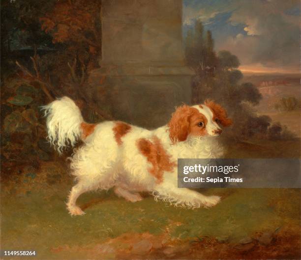 Blenheim Spaniel, William Webb, ca. 1780-1845, British