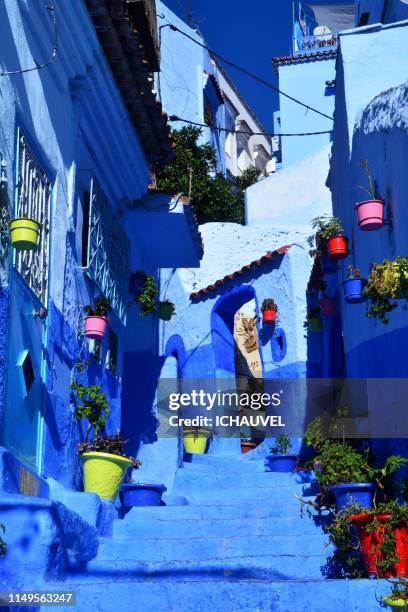 street chechaouen morocco - chefchaouen medina stock pictures, royalty-free photos & images
