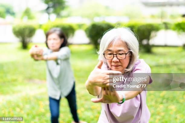 femmes asiatiques âgées jouant dans le parc - taijiquan photos et images de collection