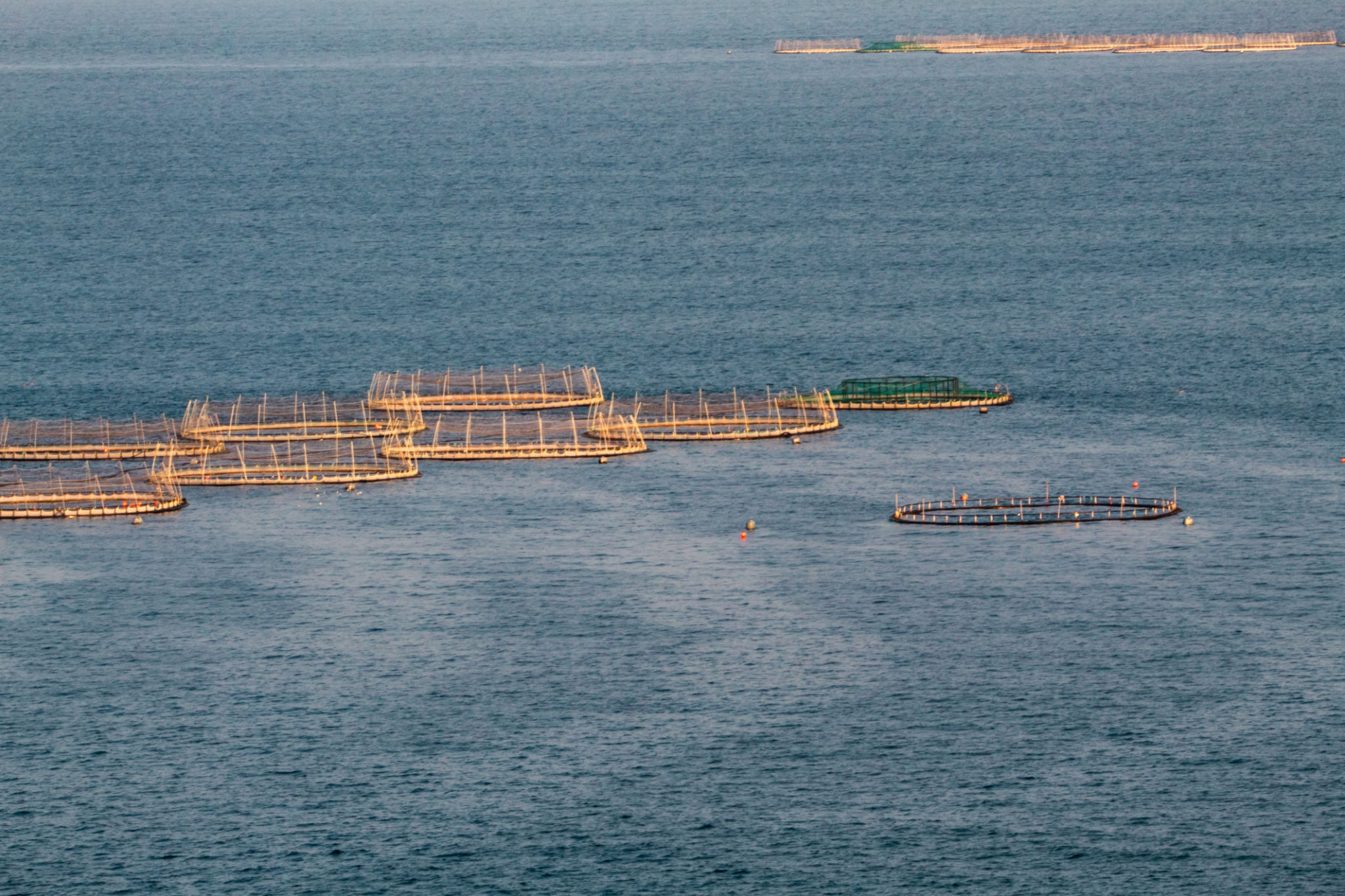 Salmon Farms in the Sea, Ireland Salmon Farms in the Sea, Ireland