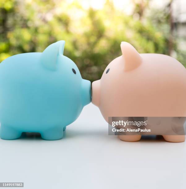 piggy bank couple kissing profile view close up - couple saving piggy bank stock pictures, royalty-free photos & images