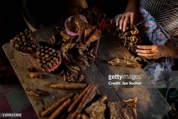 Laura Peña, a 67-years-old Salvadoran woman, selects tobacco leaves to make handmade cigars in her house on November 30, 2018 in Suchitoto, El...