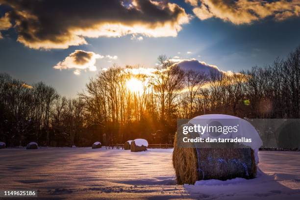 sunset bales. - dan snow stock pictures, royalty-free photos & images