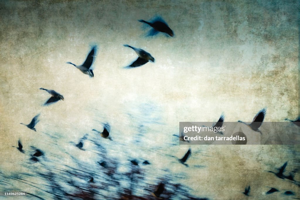 Painterly and textured Takeoff.