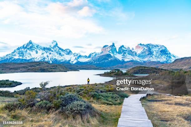 torres del paine national park, chile. (torres del paine national park) - explora park stock pictures, royalty-free photos & images