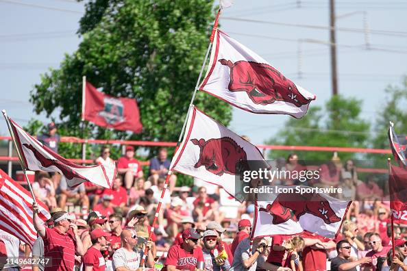 Happy Razorback Fans Arkansas Razorbacks fans wave flags after a homerun during Game 3 of ...