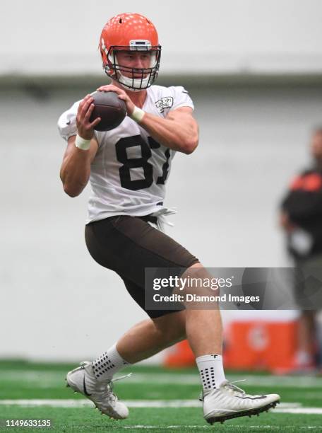 Cleveland Browns Tight End Seth Devalve Photos and Premium High Res
