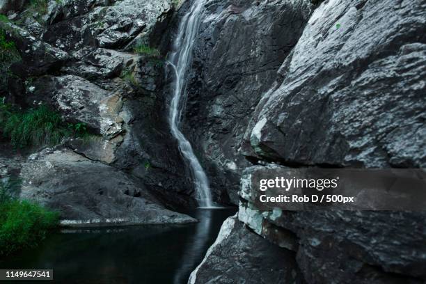 cedar creek falls in mount tamborine - mount tambourine stock pictures, royalty-free photos & images