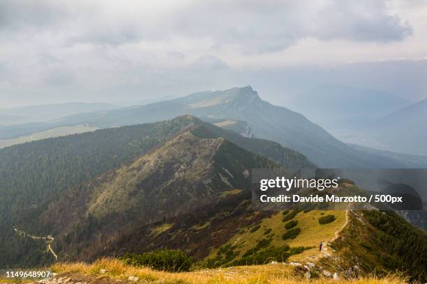 cima larici - asiago italy stock pictures, royalty-free photos & images