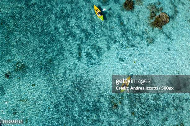 paddling in polynesia - aitutaki bildbanksfoton och bilder