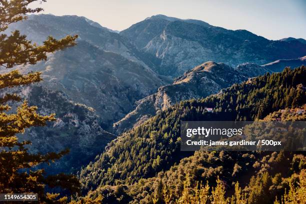 forested hillside high in the foothills of lefka o - latchi stockfoto's en -beelden