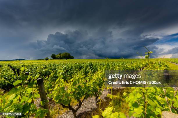 avant l'orage - belleville ontario photos et images de collection